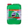 Detergent dezinfectant Domestos Pine Fresh XXL, 5 L