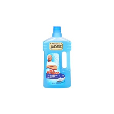 Solutie pentru pardoseala 1L, MR PROPER